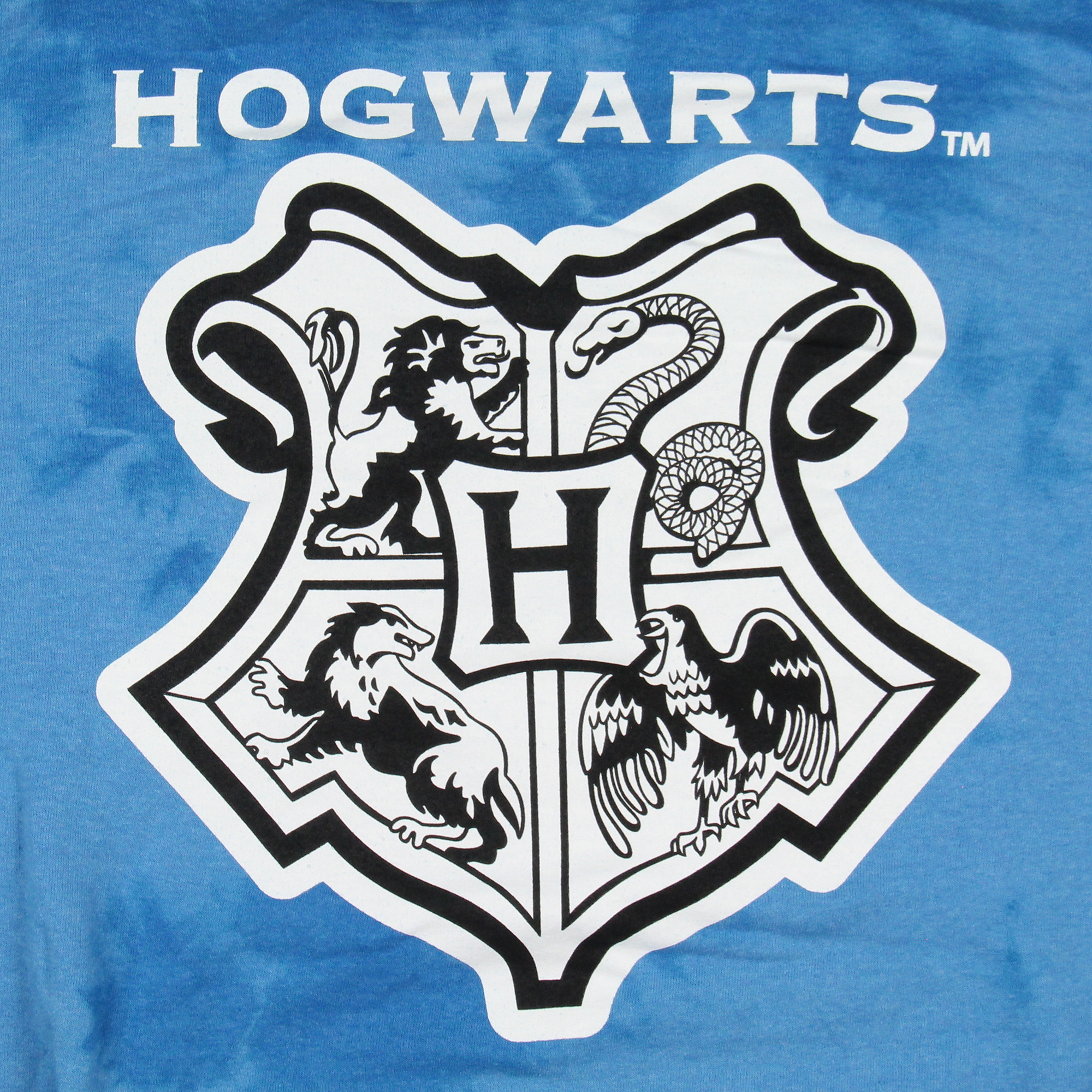 Harry Potter Men's Hogwarts Houses Tie-Dye Logo Hoodie - Foto 9 di 17